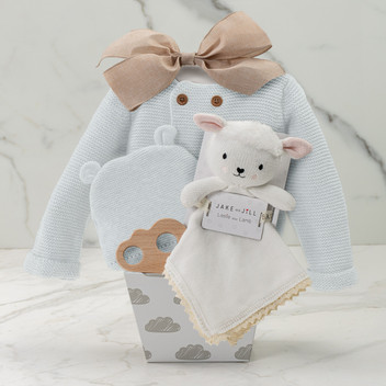 Pipsqueak Blue Baby Gift Basket