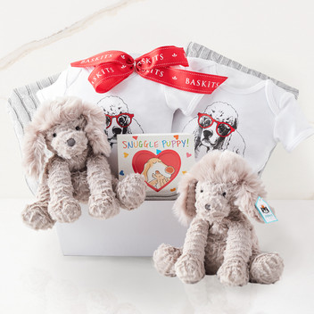 Twins Baby Gift Basket