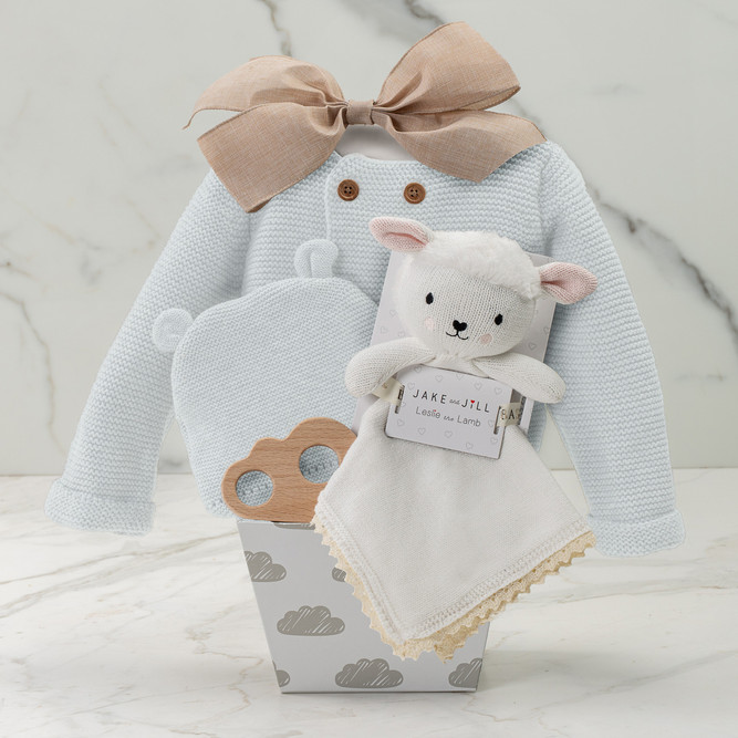 Pipsqueak Blue Baby Gift Basket