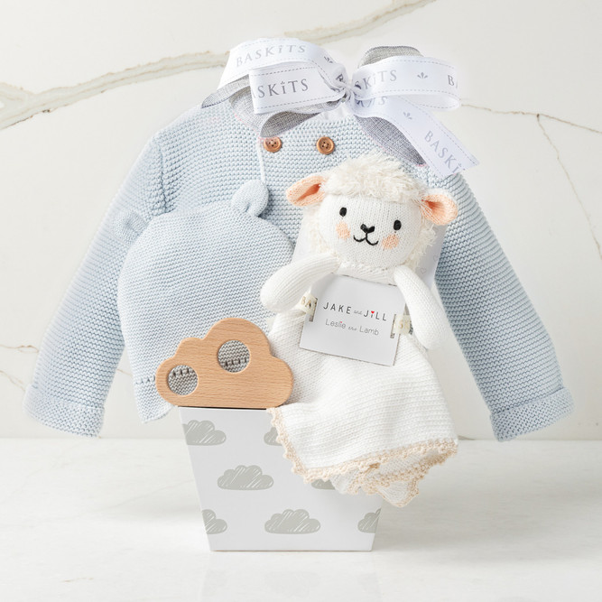 Pipsqueak Blue Baby Boy Gift Basket