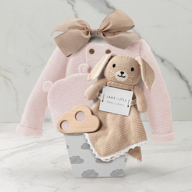 Pipsqueak Pink - Baby Girl Gift Basket -