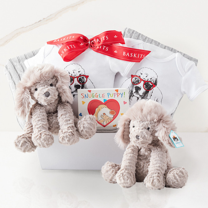 Twins Baby Gift Basket