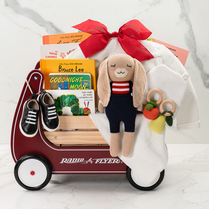 Baby & Toddler Gift Set With Radio Flyer Walker: First Steps