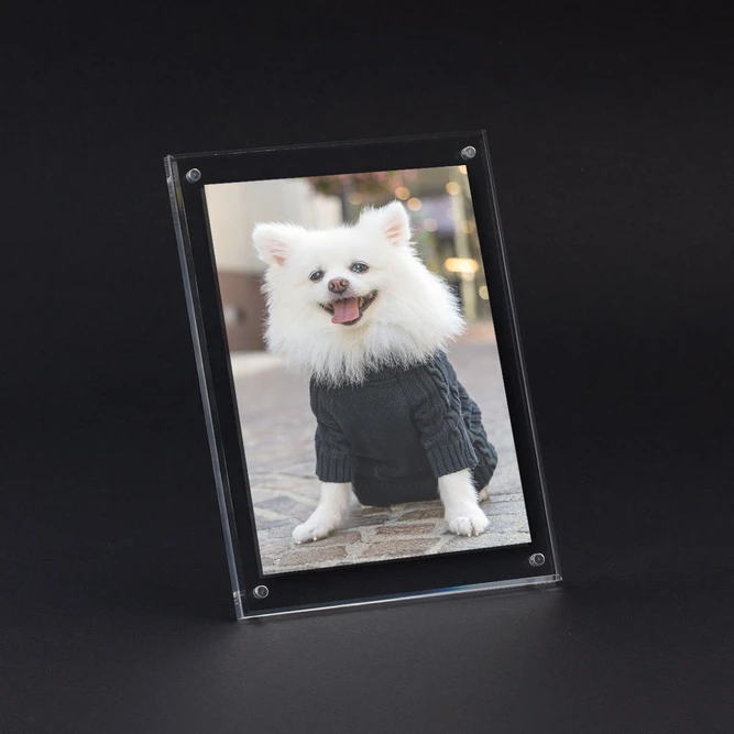 Acrylic Photo Frame - with Dog Picture