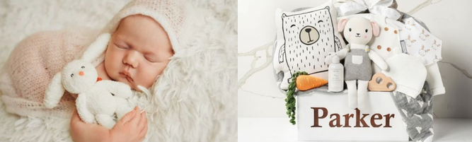 Newborn Baby Gift Basket Ideas That Are Both Useful and Memorable