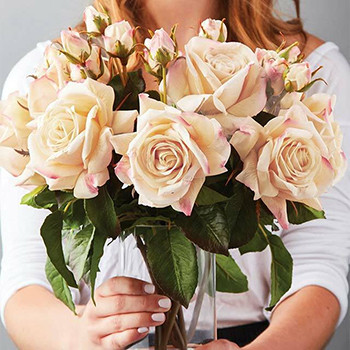 Baskits Gift Basket & Box Delivered to Canada, USA & Toronto