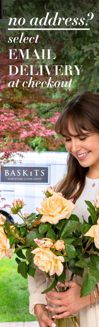 no address? select email delivery at checkout