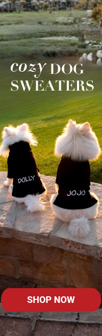 Two dogs sitting wearing personalized sweaters