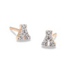 The Small Diamond Earrings -- Subtlety with Sparkle