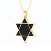 Magen David Petite Coral Pendant