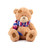 Angel Bear Flower Teddy Soft Toy