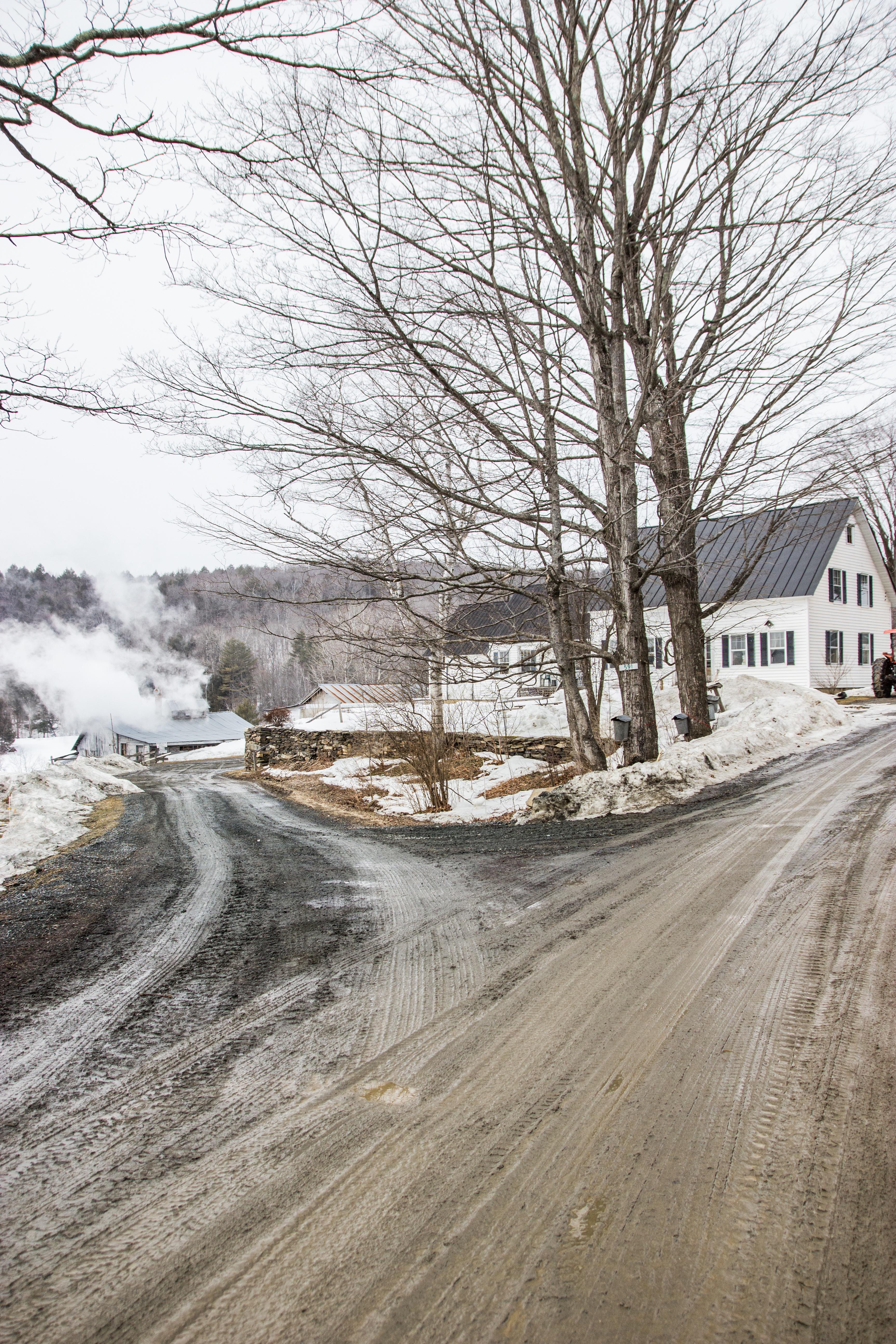 sugarbush-farms-spring-2015-5-.jpg