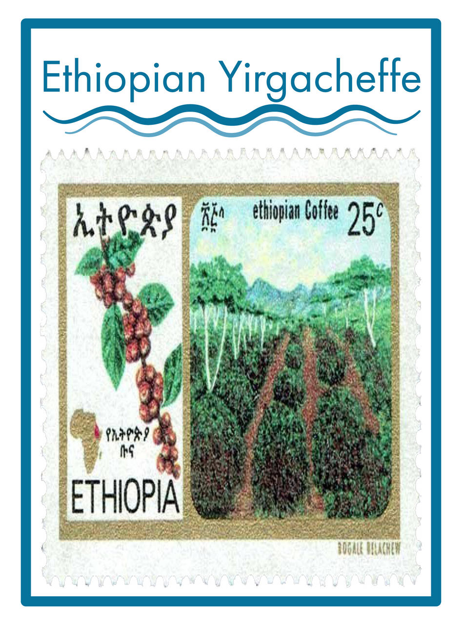 Ethiopian Yirgacheffe UNROASTED Coffee 16 oz. Coffee Home & Kitchen