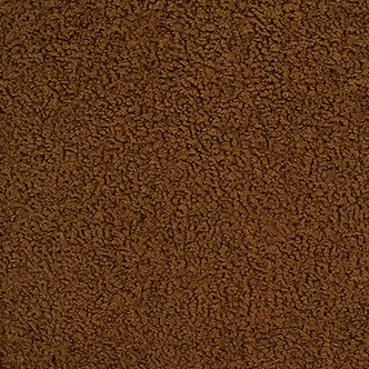 Tasman Chestnut