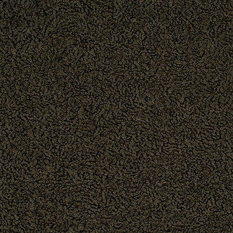 Tasman Sable