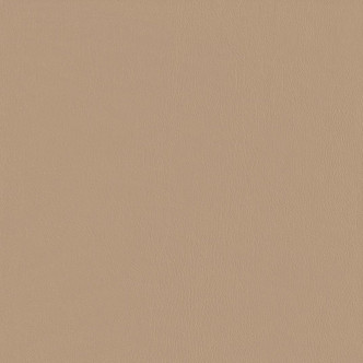 Corinthian 515506 Light Cashmere