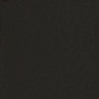 Longitude 515504 Ebony