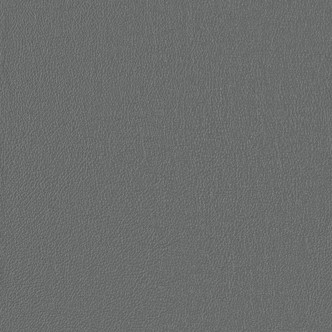 Dynasty 522083 Pumice