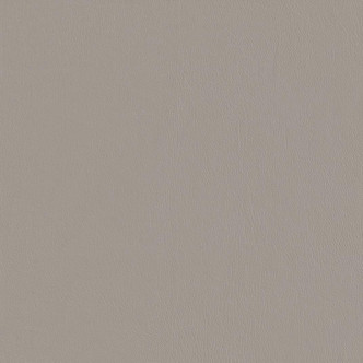 Corinthian 515505 Light Titanium