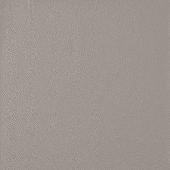 Longitude 515502 Light Titanium