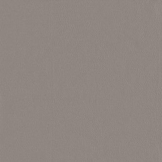 Corinthian 515509 Light Gray