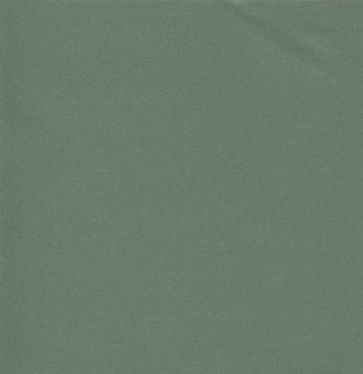 Silvertex STX-8848 Jade - NEO