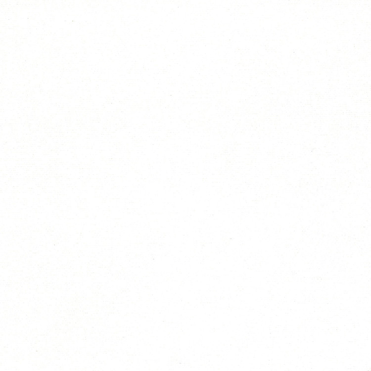 Silvertex STX-8806 Ice