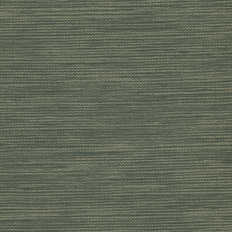 Cassara CAS-9610 Kale Cassara CAS-9610 Kale