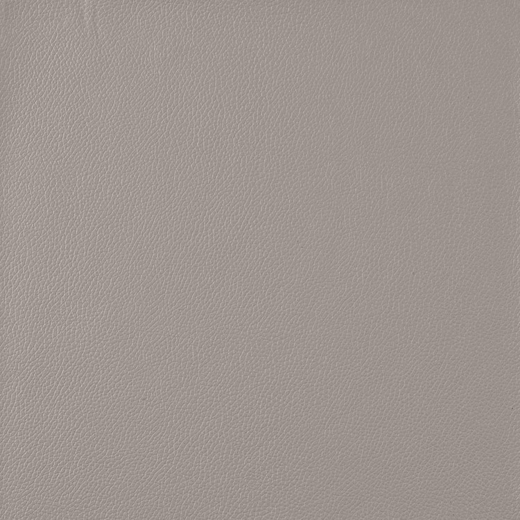 Longitude 515502 Light Titanium