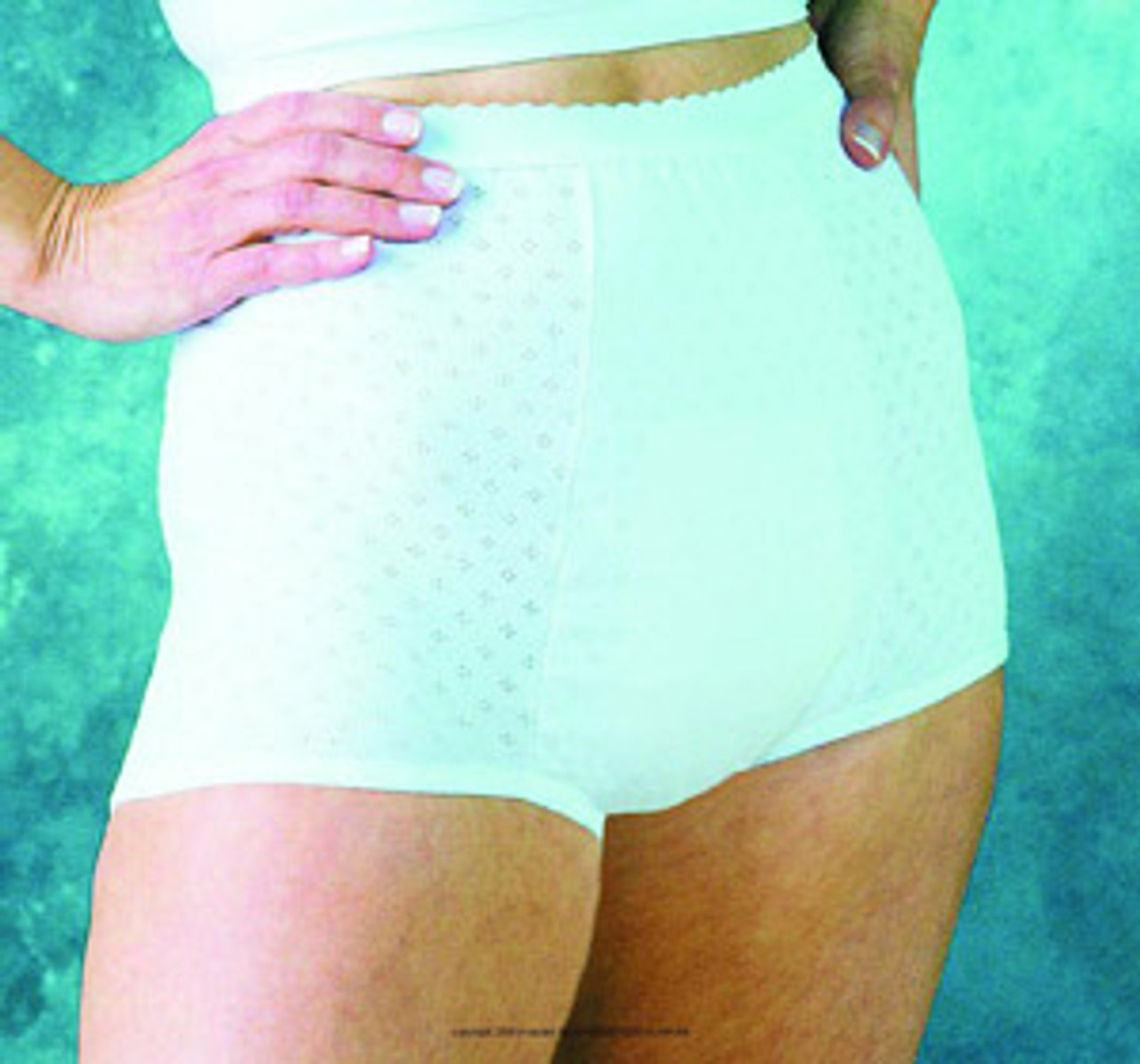 HealthDri® Ladies Heavy Panties SALPHC010EA