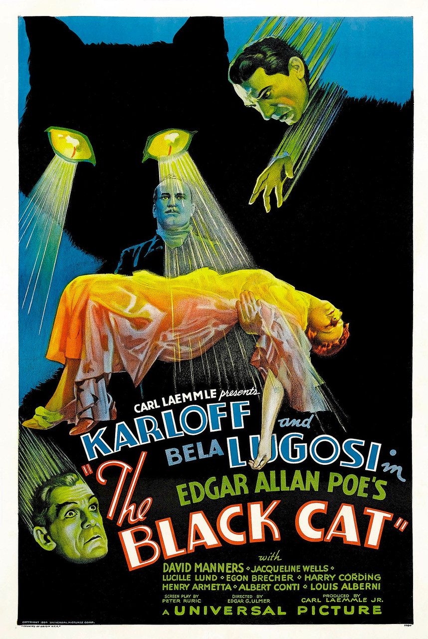 The Black Cat (1934) - Boris Karloff DVD Colorized Version