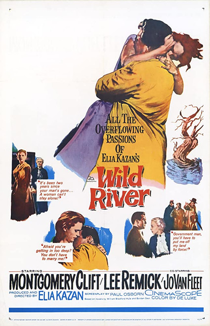 Wild River (1960) - Montgomery Clift  DVD