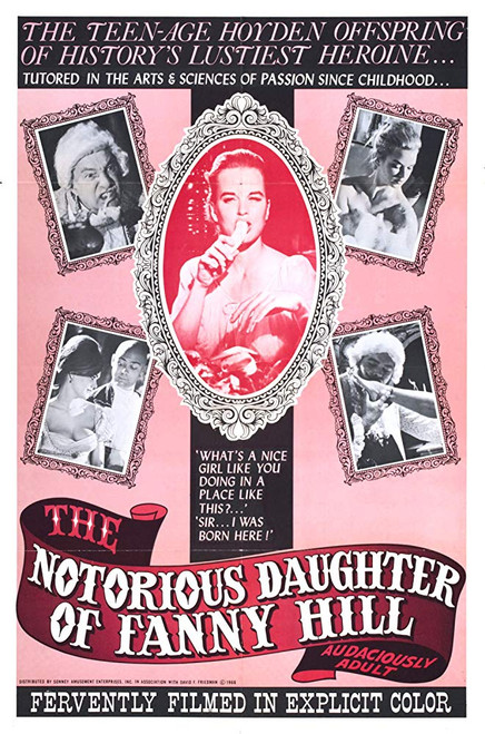 The Notorious Daughter Of Fanny Hill (1966) - Stacey Walker  DVD The Notorious Daughter Of Fanny Hill (1966) - Stacey Walker  DVD