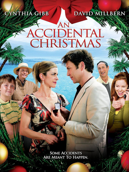An Accidental Christmas (2007) - Cynthia Gibb