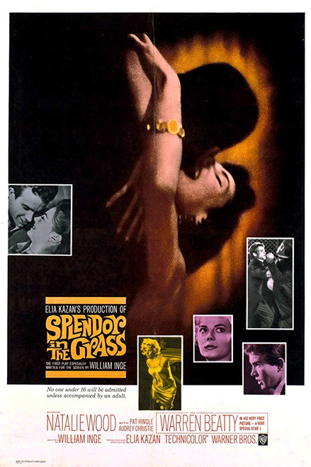 Splendor In The Grass (1961) - Warren Beatty