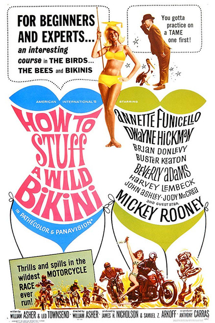 How To Stuff A Wild Bikini (1965) - Mickey Rooney  DVD How To Stuff A Wild Bikini (1965) - Mickey Rooney  DVD