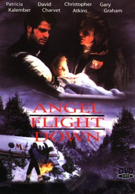 Angel Flight Down (1996) - Christopher Atkins DVD Angel Flight Down (1996) - Christopher Atkins DVD