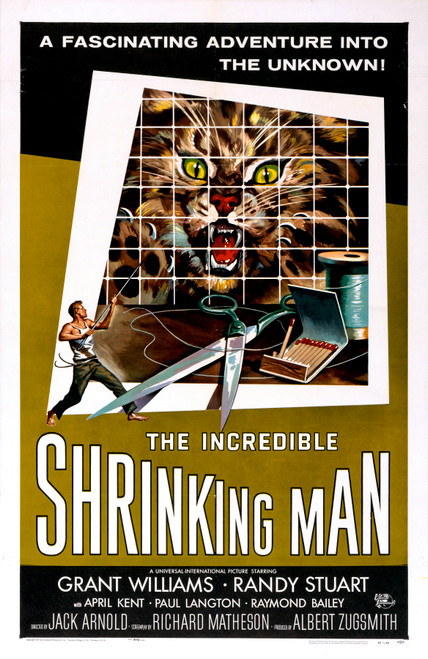 The Incredible Shrinking Man (1957) - Grant Williams DVD Colorized Version The Incredible Shrinking Man (1957) - Grant Williams DVD Colorized Version