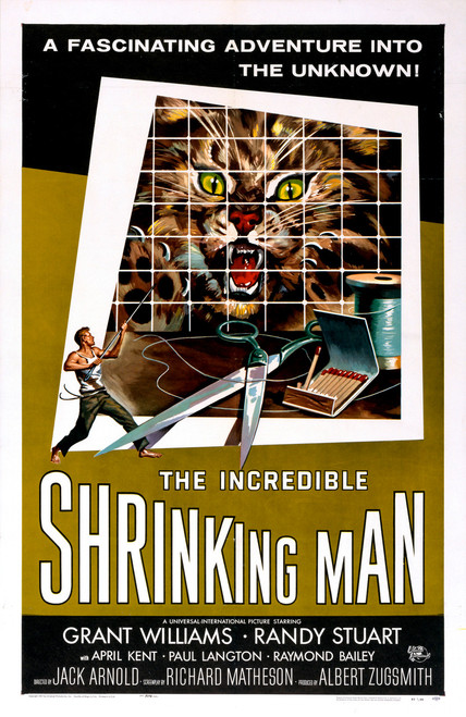 The Incredible Shrinking Man (1957) - Grant Williams  Colorized Version The Incredible Shrinking Man (1957) - Grant Williams  Colorized Version