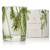 Thymes Votive Candle Pine Needle 2 Oz. - Frasier Fir