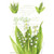 Willowbrook Fresh Scents Scented Sachet - Lily of the Valley