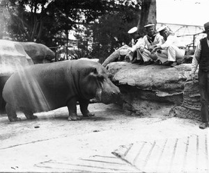 Japanese Imperial Navy Greeting Card