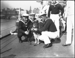 German Sailors with Wallaby on Board - High Quality Prints German Sailors with Wallaby on Board - High Quality Prints