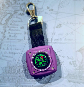 3-in-1 Compass (Torch & Distress Light) (8401) 3-in-1 Compass (Torch & Distress Light) (8401)