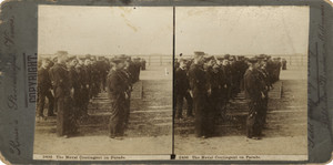 Naval Contingent Parade Image