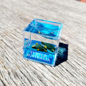 Water Cube Paperweight - Turtle (1716) Water Cube Paperweight - Turtle (1716)