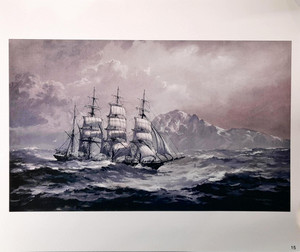 Allcot Print - Homeward Bound (281)