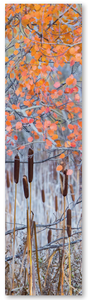 Autumn Glow Bookmark - Wildlife Photographer of the Year 59 (15) Autumn Glow Bookmark - Wildlife Photographer of the Year 59 (15)