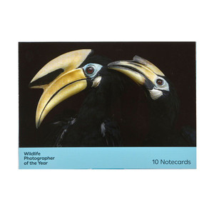 Greeting Card Set of 10 - WPY 60 Greeting Card Set of 10 - WPY 60