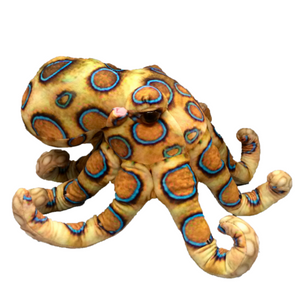 Blue Ring Octopus Plush Toy (015162) Blue Ring Octopus Plush Toy (015162)